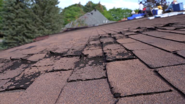 4 Ply Roofing in Shafer, MN